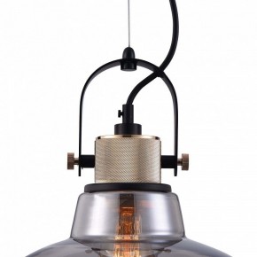 Подвесной светильник Maytoni Irving T163PL-01C в Покачах - pokachi.mebel24.online | фото 9