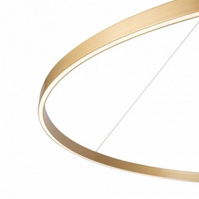 Подвесной светильник Maytoni Rim MOD058PL-L65BSK в Покачах - pokachi.mebel24.online | фото 5