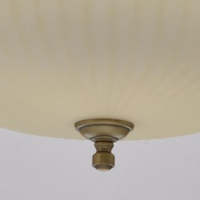 Подвесной светильник MW-Light Афродита 1 317010504 в Покачах - pokachi.mebel24.online | фото 9