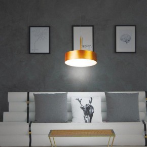 Подвесной светильник Novotech Prometa 358766 в Покачах - pokachi.mebel24.online | фото 4