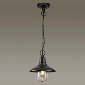 Подвесной светильник Odeon Light Campa 4965/1 в Покачах - pokachi.mebel24.online | фото 2