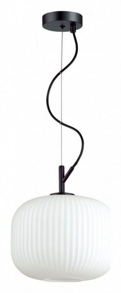 Подвесной светильник Odeon Light Roofi 4753/1 в Покачах - pokachi.mebel24.online | фото 2