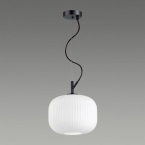 Подвесной светильник Odeon Light Roofi 4753/1 в Покачах - pokachi.mebel24.online | фото 4
