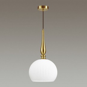 Подвесной светильник Odeon Light Runga 4766/1 в Покачах - pokachi.mebel24.online | фото 4