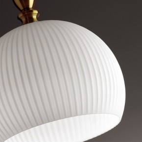 Подвесной светильник Odeon Light Runga 4766/1 в Покачах - pokachi.mebel24.online | фото 8