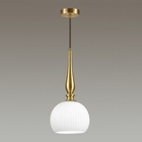 Подвесной светильник Odeon Light Runga 4767/1 в Покачах - pokachi.mebel24.online | фото 4