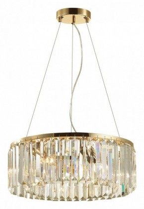 Подвесной светильник Odeon Light Vassa 4987/6 в Покачах - pokachi.mebel24.online | фото 4