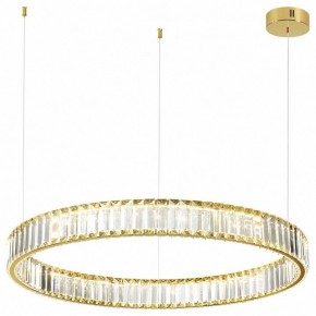 Подвесной светильник Odeon Light Vekia 5015/45L в Покачах - pokachi.mebel24.online | фото 2