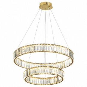 Подвесной светильник Odeon Light Vekia 5015/60L в Покачах - pokachi.mebel24.online | фото 2