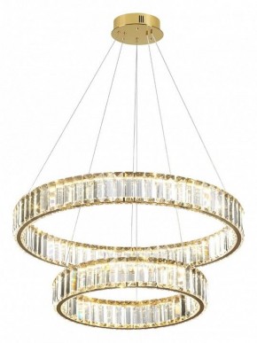 Подвесной светильник Odeon Light Vekia 5015/60L в Покачах - pokachi.mebel24.online | фото 4