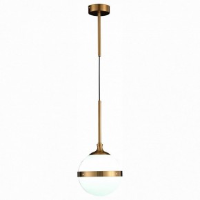Подвесной светильник ST-Luce Arbe SL1157.303.01 в Покачах - pokachi.mebel24.online | фото 3