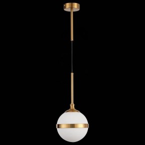 Подвесной светильник ST-Luce Arbe SL1157.303.01 в Покачах - pokachi.mebel24.online | фото 4