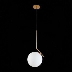 Подвесной светильник ST-Luce Codda SL1148.303.01 в Покачах - pokachi.mebel24.online | фото 6