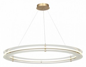 Подвесной светильник ST-Luce FAGY SL6245.213.01 в Покачах - pokachi.mebel24.online | фото 4