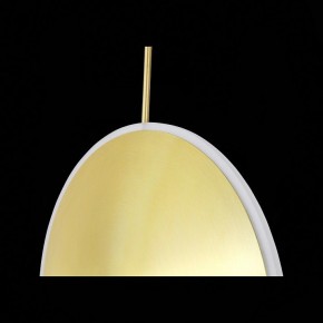 Подвесной светильник ST-Luce Imente SL1221.213.01 в Покачах - pokachi.mebel24.online | фото 9