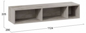 Полка навесная ТД-102.28 в Покачах - pokachi.mebel24.online | фото 8