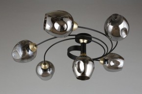 Потолочная люстра Aployt Flor APL.611.17.06 в Покачах - pokachi.mebel24.online | фото 1