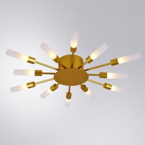 Потолочная люстра Arte Lamp Maple A1276PL-12GO в Покачах - pokachi.mebel24.online | фото 1