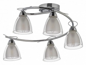 Потолочная люстра Arti Lampadari Paola, Tavenna Nickel Paola E 1.1.5 N в Покачах - pokachi.mebel24.online | фото