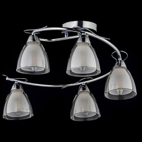 Потолочная люстра Arti Lampadari Paola, Tavenna Nickel Paola E 1.1.5 N в Покачах - pokachi.mebel24.online | фото 2
