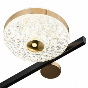 Потолочная люстра Escada Liberta 10219/6LED в Покачах - pokachi.mebel24.online | фото 6