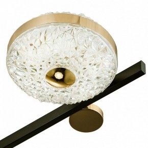 Потолочная люстра Escada Liberta 10219/6LED в Покачах - pokachi.mebel24.online | фото 7