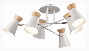 Потолочная люстра EVOLUCE Alfeo SLE1252-502-06 в Покачах - pokachi.mebel24.online | фото