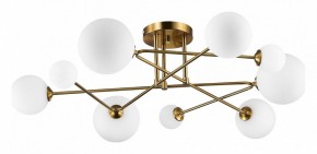 Потолочная люстра EVOLUCE Fantini SLE2211-302-09 в Покачах - pokachi.mebel24.online | фото