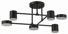 Потолочная люстра EVOLUCE Nobel SLE201042-06 в Покачах - pokachi.mebel24.online | фото 11