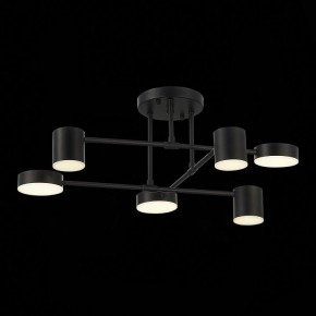 Потолочная люстра EVOLUCE Nobel SLE201042-06 в Покачах - pokachi.mebel24.online | фото 13