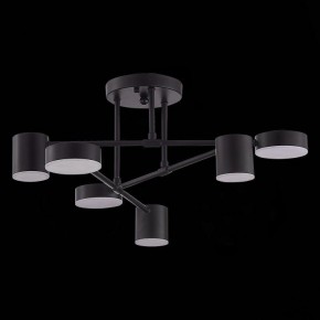Потолочная люстра EVOLUCE Nobel SLE201042-06 в Покачах - pokachi.mebel24.online | фото 2
