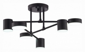 Потолочная люстра EVOLUCE Nobel SLE201042-06 в Покачах - pokachi.mebel24.online | фото 5