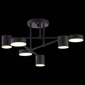 Потолочная люстра EVOLUCE Nobel SLE201042-06 в Покачах - pokachi.mebel24.online | фото 6