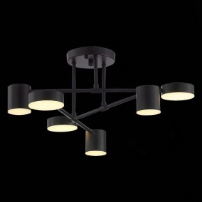 Потолочная люстра EVOLUCE Nobel SLE201042-06 в Покачах - pokachi.mebel24.online | фото 7
