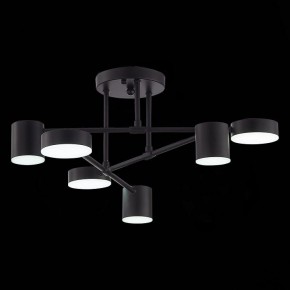 Потолочная люстра EVOLUCE Nobel SLE201042-06 в Покачах - pokachi.mebel24.online | фото 9