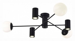 Потолочная люстра EVOLUCE Raito SLE1105-402-06 в Покачах - pokachi.mebel24.online | фото