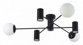 Потолочная люстра EVOLUCE Raito SLE1105-402-06 в Покачах - pokachi.mebel24.online | фото 2