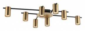Потолочная люстра Favourite Topper 2827-8P в Покачах - pokachi.mebel24.online | фото 2