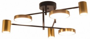 Потолочная люстра Kink Light Рапис 07645-6D,19(20) в Покачах - pokachi.mebel24.online | фото
