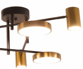 Потолочная люстра Kink Light Рапис 07645-6D,19(20) в Покачах - pokachi.mebel24.online | фото 2