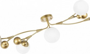 Потолочная люстра Lightstar Croco 815553 в Покачах - pokachi.mebel24.online | фото 6