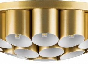 Потолочная люстра Lightstar Siena 720222 в Покачах - pokachi.mebel24.online | фото 3