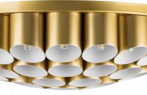 Потолочная люстра Lightstar Siena 720402 в Покачах - pokachi.mebel24.online | фото 3