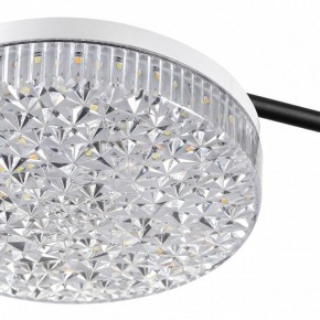 Потолочная люстра Lumion Didana 8236/4CL в Покачах - pokachi.mebel24.online | фото 10