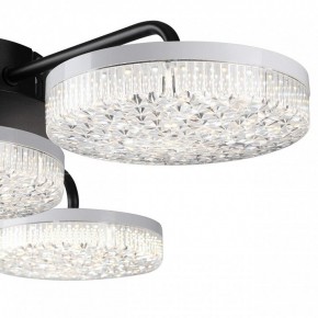 Потолочная люстра Lumion Didana 8236/4CL в Покачах - pokachi.mebel24.online | фото 7