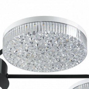 Потолочная люстра Lumion Didana 8236/7CL в Покачах - pokachi.mebel24.online | фото 9