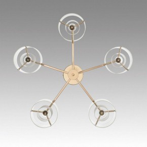 Потолочная люстра Lumion Verdi 6587/5C в Покачах - pokachi.mebel24.online | фото 4