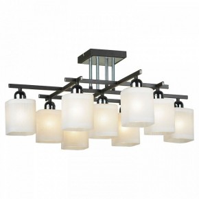 Потолочная люстра Lussole Costanzo LSL-9007-09 в Покачах - pokachi.mebel24.online | фото 2