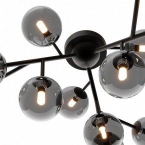 Потолочная люстра Maytoni Dallas MOD545CL-12B в Покачах - pokachi.mebel24.online | фото 3