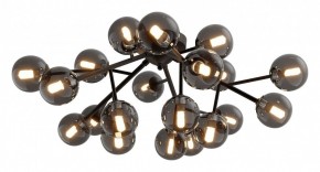 Потолочная люстра Maytoni Dallas MOD545CL-20B в Покачах - pokachi.mebel24.online | фото 2